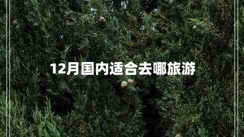 12月國(guó)內(nèi)適合去哪旅游