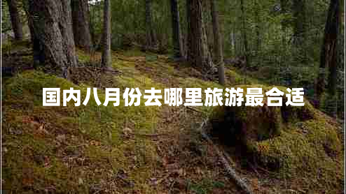 國內(nèi)八月份去哪里旅游最合適