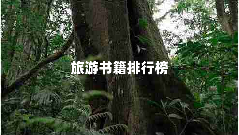 旅游書籍排行榜
