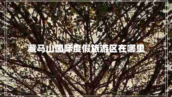 藏馬山國際度假旅游區(qū)在哪里