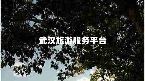 武漢旅游服務(wù)平臺(tái)