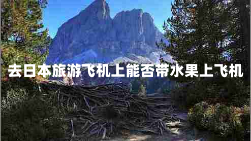 去日本旅游飛機上能否帶水果上飛機