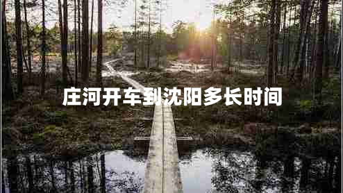 莊河開車到沈陽多長時(shí)間