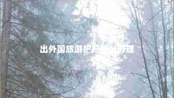 出外國旅游護照怎么辦理