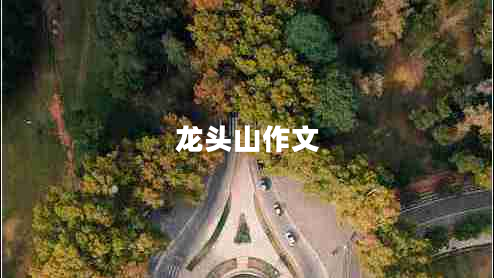 龍頭山作文
