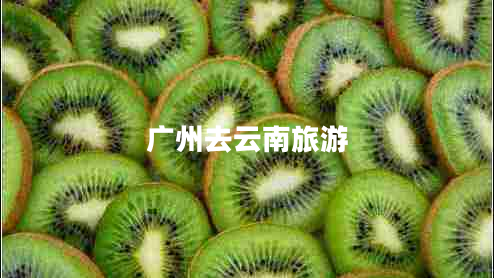 廣州去云南旅游 廣州去云南旅游