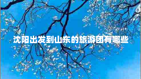 沈陽出發(fā)到山東的旅游團(tuán)有哪些 沈陽出發(fā)到山東的旅游團(tuán)有哪些