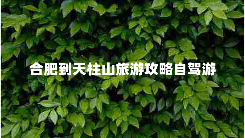 合肥到天柱山旅游攻略自駕游