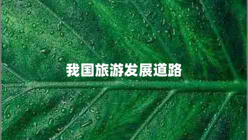 我國旅游發(fā)展道路