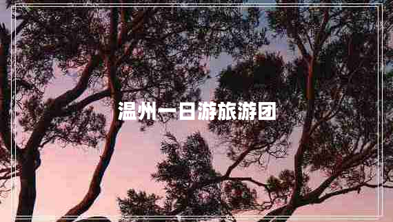 溫州一日游旅游團(tuán)