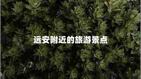 遠(yuǎn)安附近的旅游景點(diǎn)