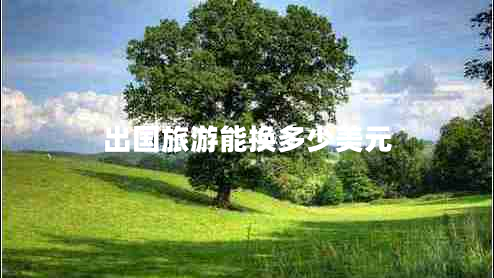 出國(guó)旅游能換多少美元