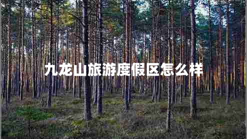 九龍山旅游度假區(qū)怎么樣