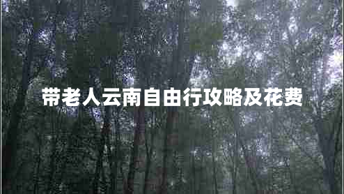 帶老人云南自由行攻略及花費(fèi) 帶老人云南自由行攻略及花費(fèi)