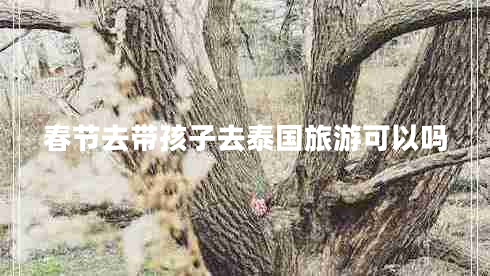 春節(jié)去帶孩子去泰國旅游可以嗎