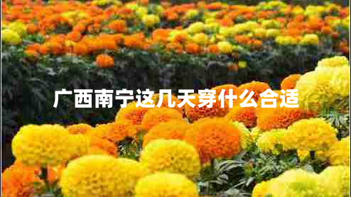 廣西南寧這幾天穿什么合適