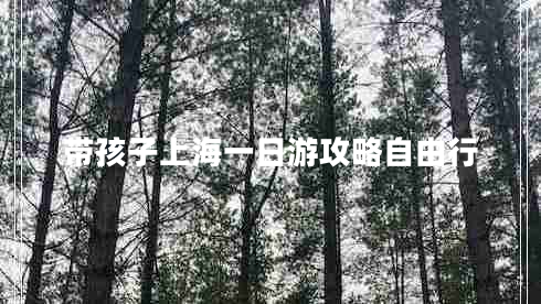 帶孩子上海一日游攻略自由行