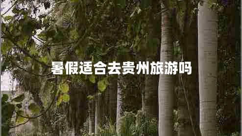 暑假適合去貴州旅游嗎