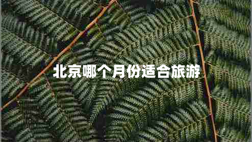 北京哪個月份適合旅游