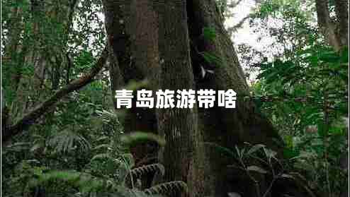 青島旅游帶啥 青島旅游帶啥