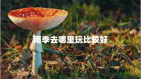 雨季去哪里玩比較好