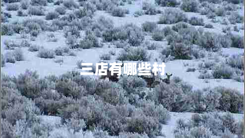 三店有哪些村 三店有哪些村