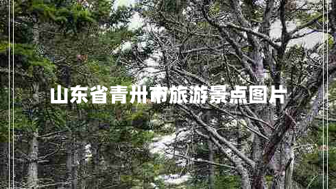 山東省青卅市旅游景點(diǎn)圖片
