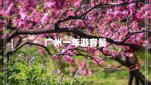 廣州一年游客量