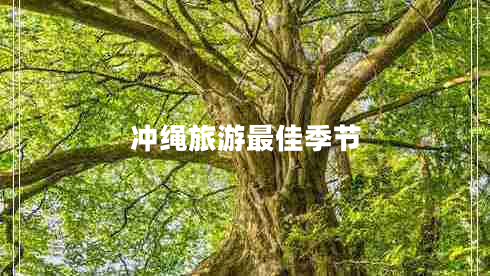 沖繩旅游最佳季節(jié) 沖繩旅游最佳季節(jié)