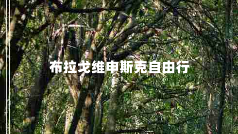 布拉戈維申斯克自由行 布拉戈維申斯克自由行