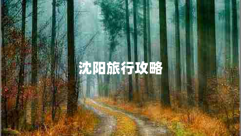 沈陽旅行攻略