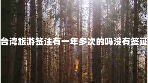 臺(tái)灣旅游簽注有一年多次的嗎沒有簽證