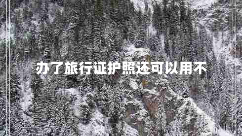 辦了旅行證護(hù)照還可以用不