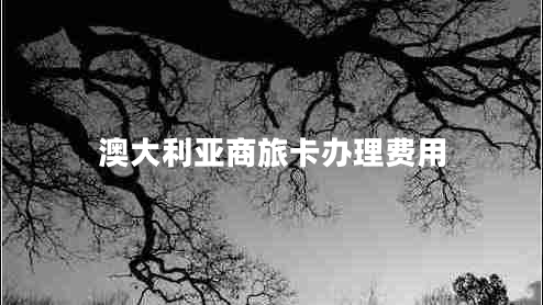 澳大利亞商旅卡辦理費用