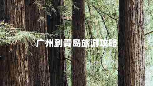 廣州到青島旅游攻略