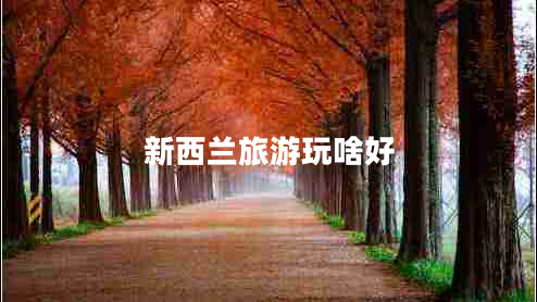 新西蘭旅游玩啥好 新西蘭旅游玩啥好