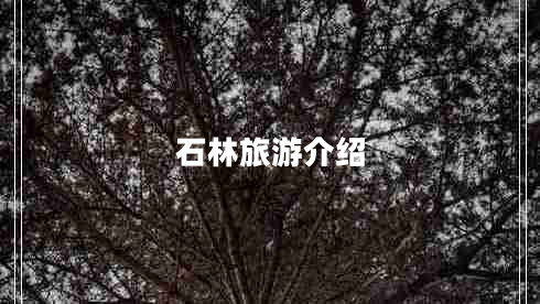 石林旅游介紹