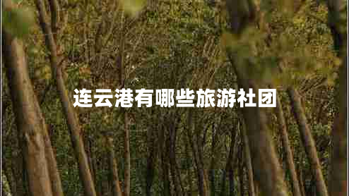 連云港有哪些旅游社團