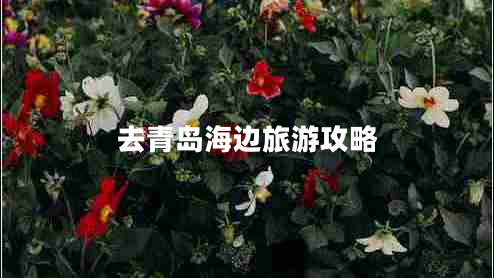 去青島海邊旅游攻略 去青島海邊旅游攻略