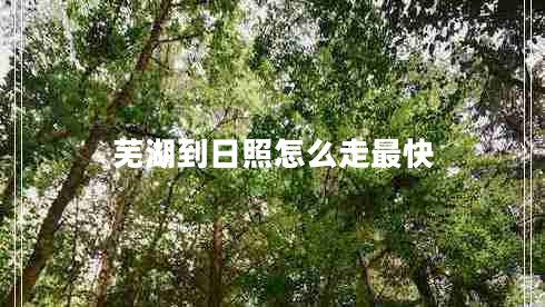 蕪湖到日照怎么走最快