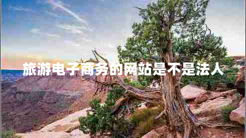 旅游電子商務(wù)的網(wǎng)站是不是法人 旅游電子商務(wù)的網(wǎng)站是不是法人