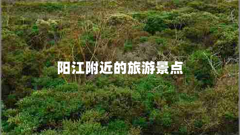 陽江附近的旅游景點