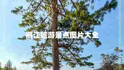 麗江旅游景點(diǎn)圖片大全