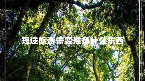 短途旅游需要準(zhǔn)備什么東西 短途旅游需要準(zhǔn)備什么東西