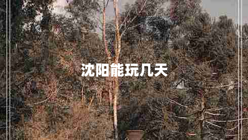 沈陽(yáng)能玩幾天