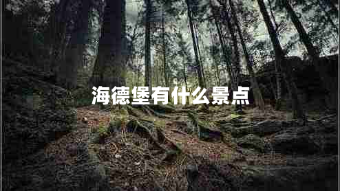 海德堡有什么景點(diǎn) 海德堡有什么景點(diǎn)