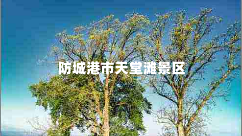 防城港市天堂灘景區(qū) 防城港市天堂灘景區(qū)