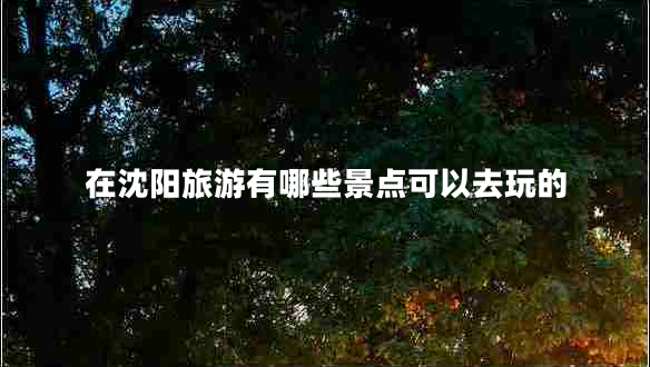 在沈陽旅游有哪些景點(diǎn)可以去玩的 在沈陽旅游有哪些景點(diǎn)可以去玩的