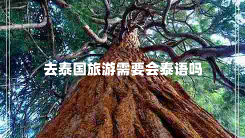 去泰國(guó)旅游需要會(huì)泰語(yǔ)嗎 去泰國(guó)旅游需要會(huì)泰語(yǔ)嗎
