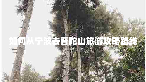 如何從寧波去普陀山旅游攻略路線